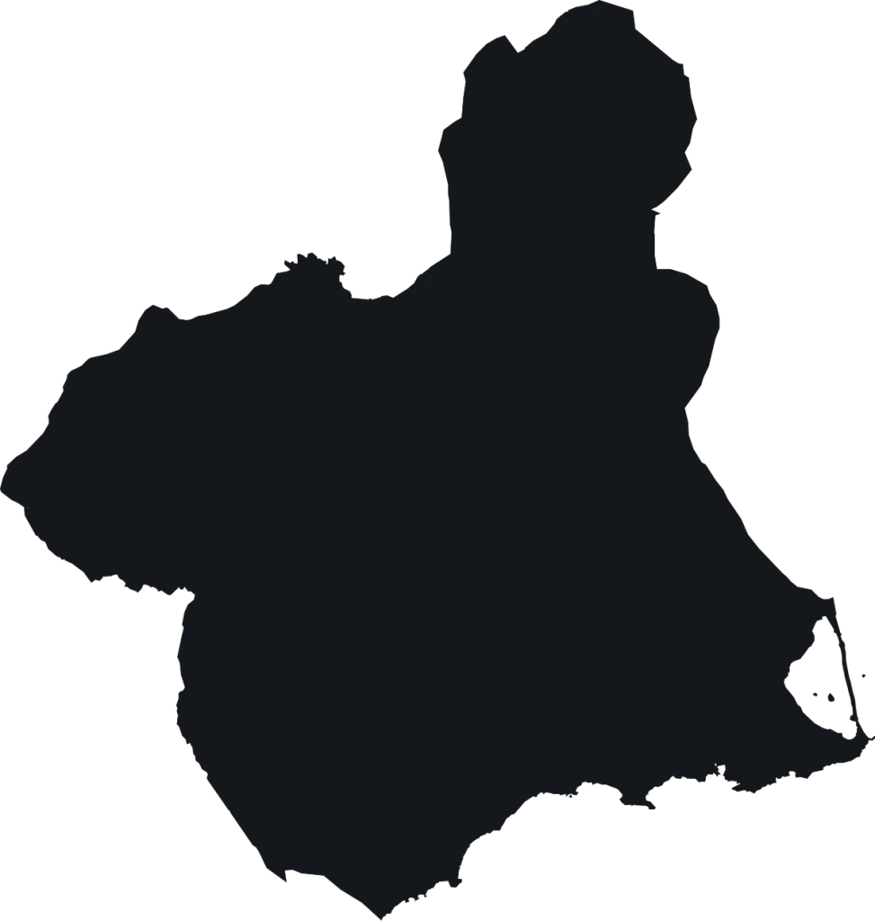 inmobiliaria murcia